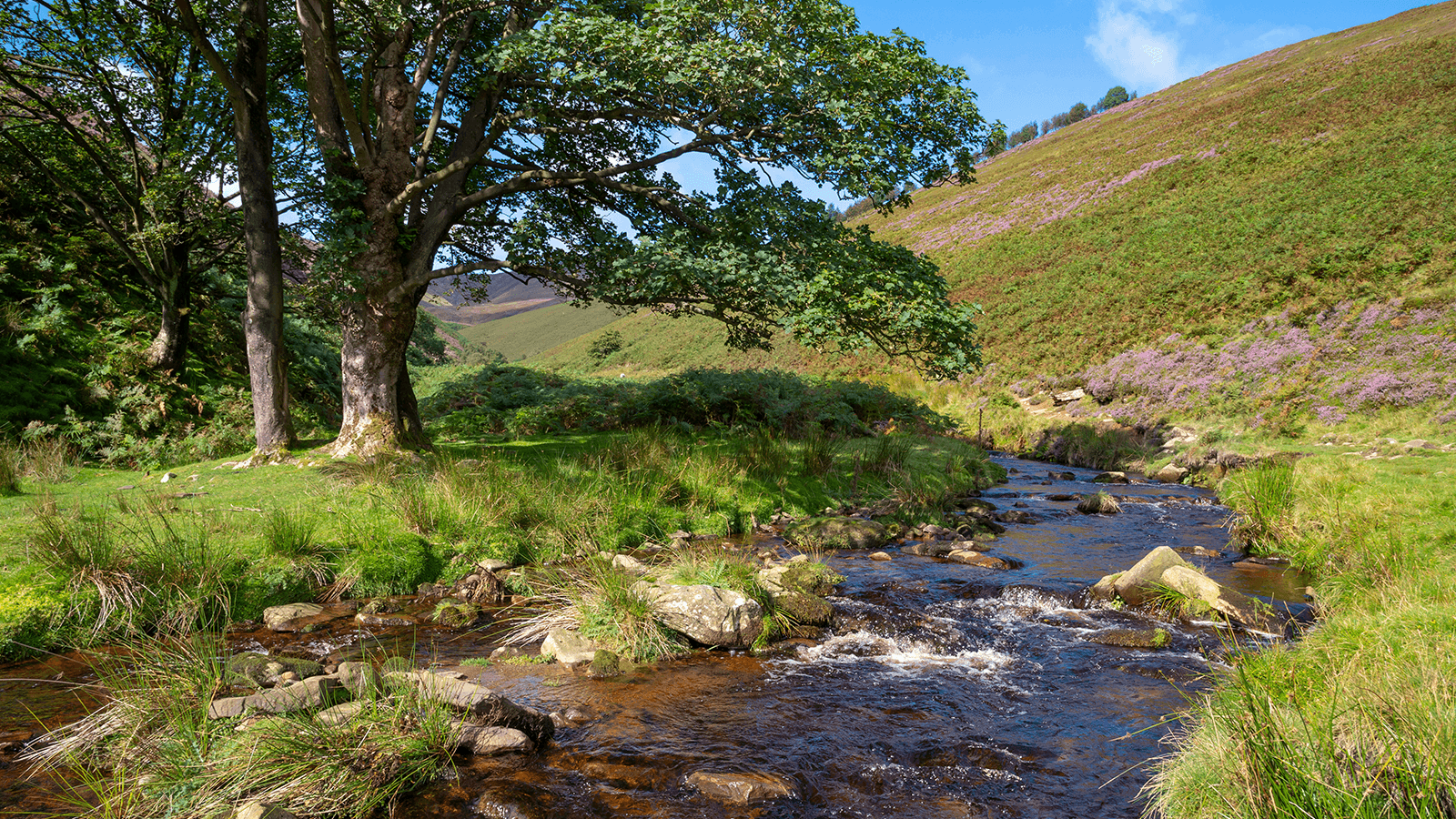 New Historical Matches Highlight the Importance of Thinking Beyond an XX or XY Binary When Studying the Past