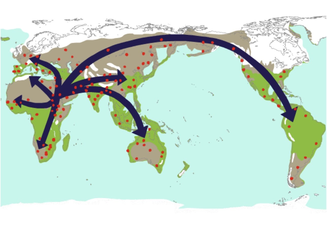 World-Migration-Map.jpg