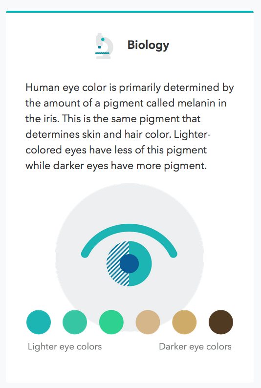 Eye Colour Prediction Chart