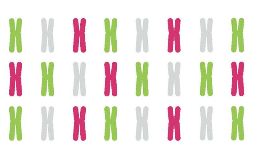 DNA Genetic Testing For Health, Ancestry And More - 23andMe