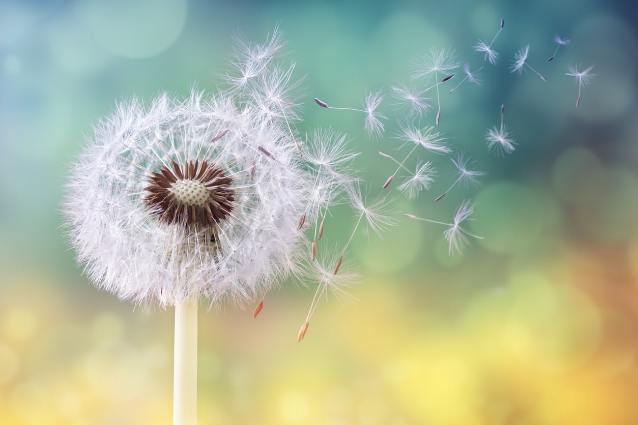 The Genetics of Asthma and Allergies: More Than a Decade of 23andMe Research
