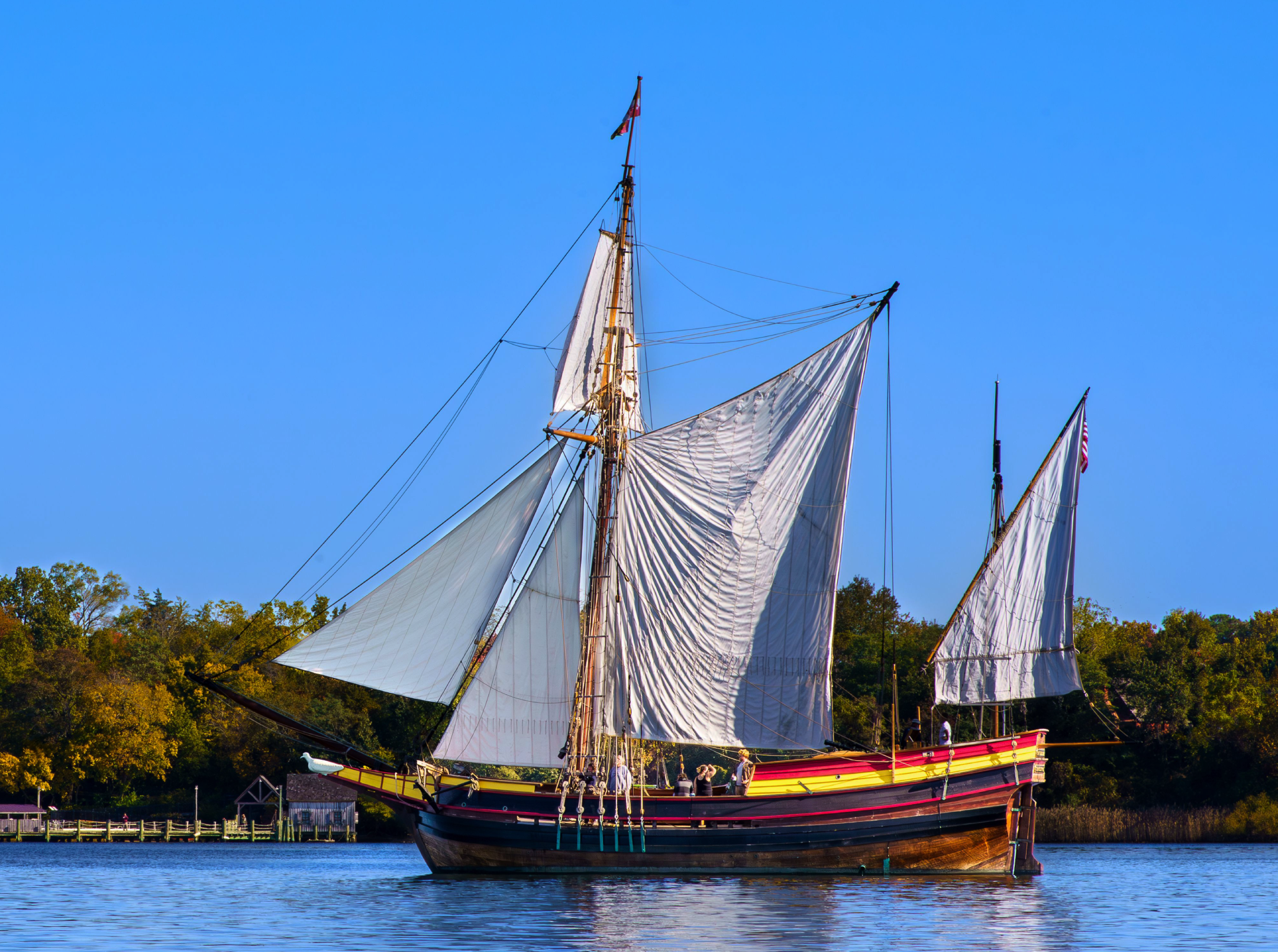 Ancient DNA and 23andMe Are Rewriting the Story of Some of America’s Earliest Colonists